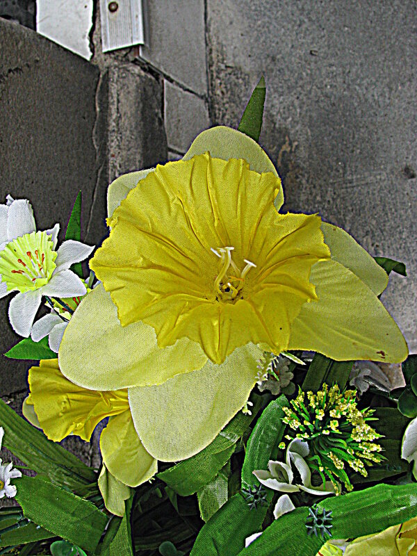 Варшава. - Владимир Драгунский Варшава. - Владимир Драгунский