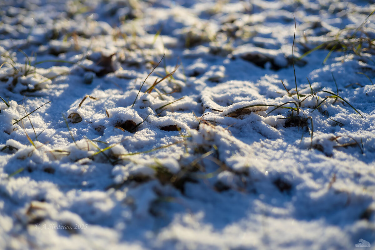 Трава зимой - Александр Синдерёв