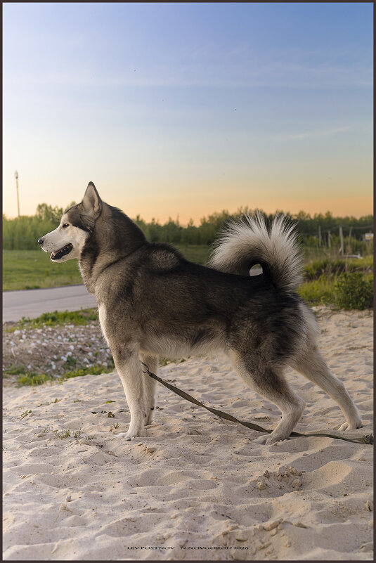 Ярик. - leff Postnov Ярик. - leff Postnov