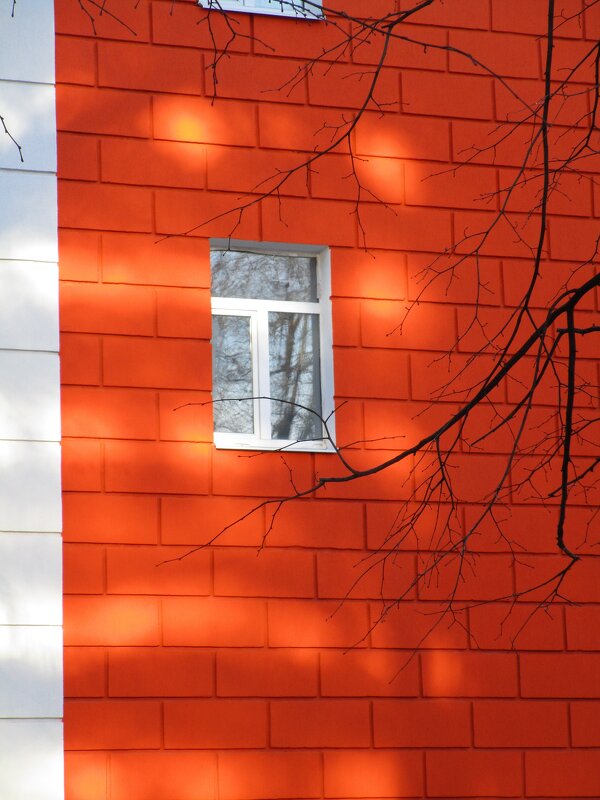 один декабрьский вечер - Елена Шаламова один декабрьский вечер - Елена Шаламова