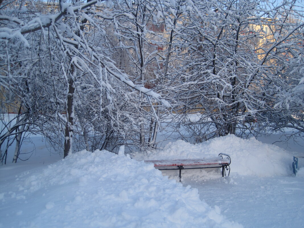 Когда много снега - Елена Семигина