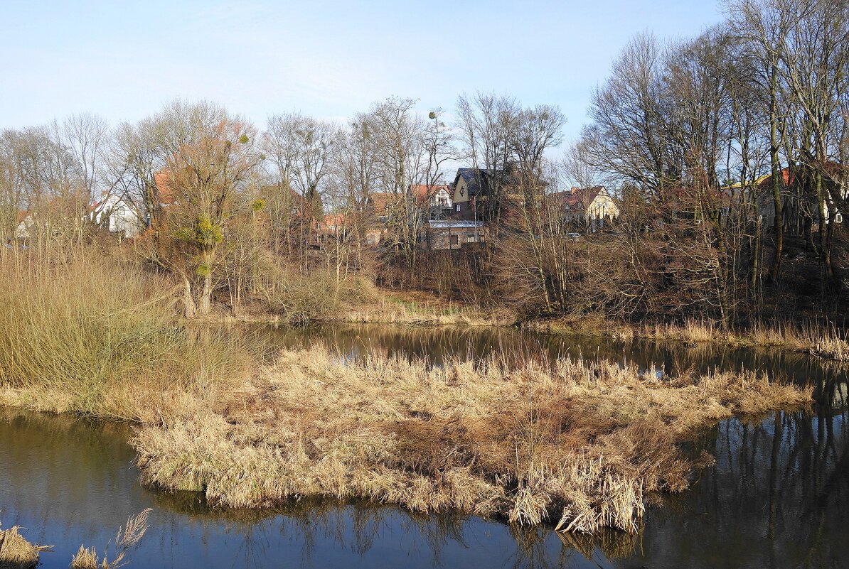 Январский пейзаж - Рита Симонова Январский пейзаж - Рита Симонова