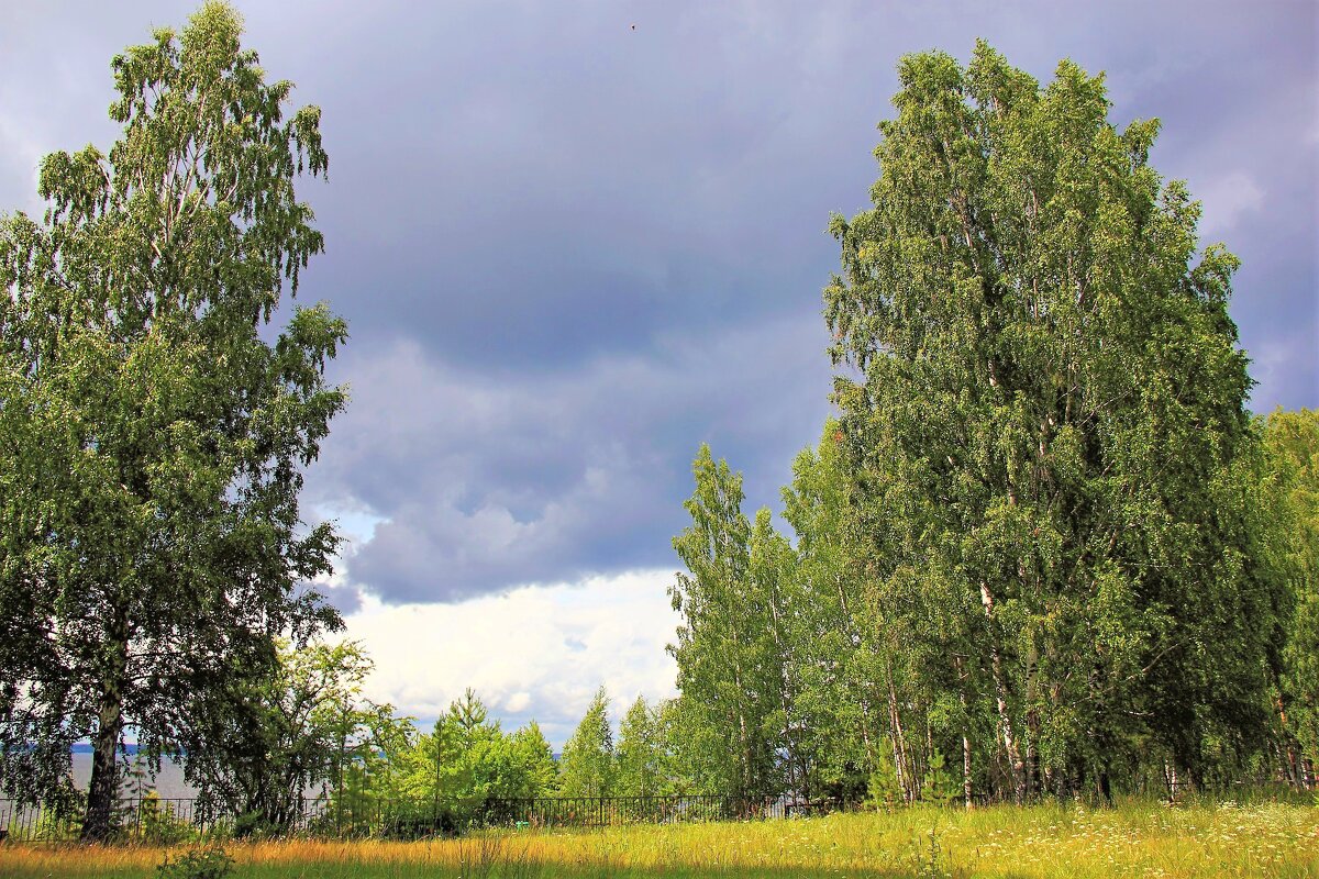 Перед грозой - Евгений Корьевщиков Перед грозой - Евгений Корьевщиков