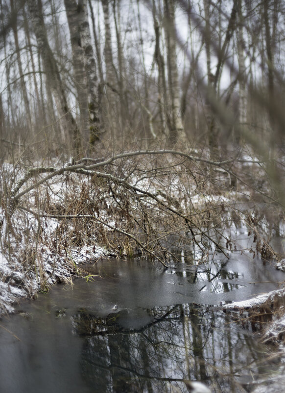 Талые виды - sorovey Sol Талые виды - sorovey Sol