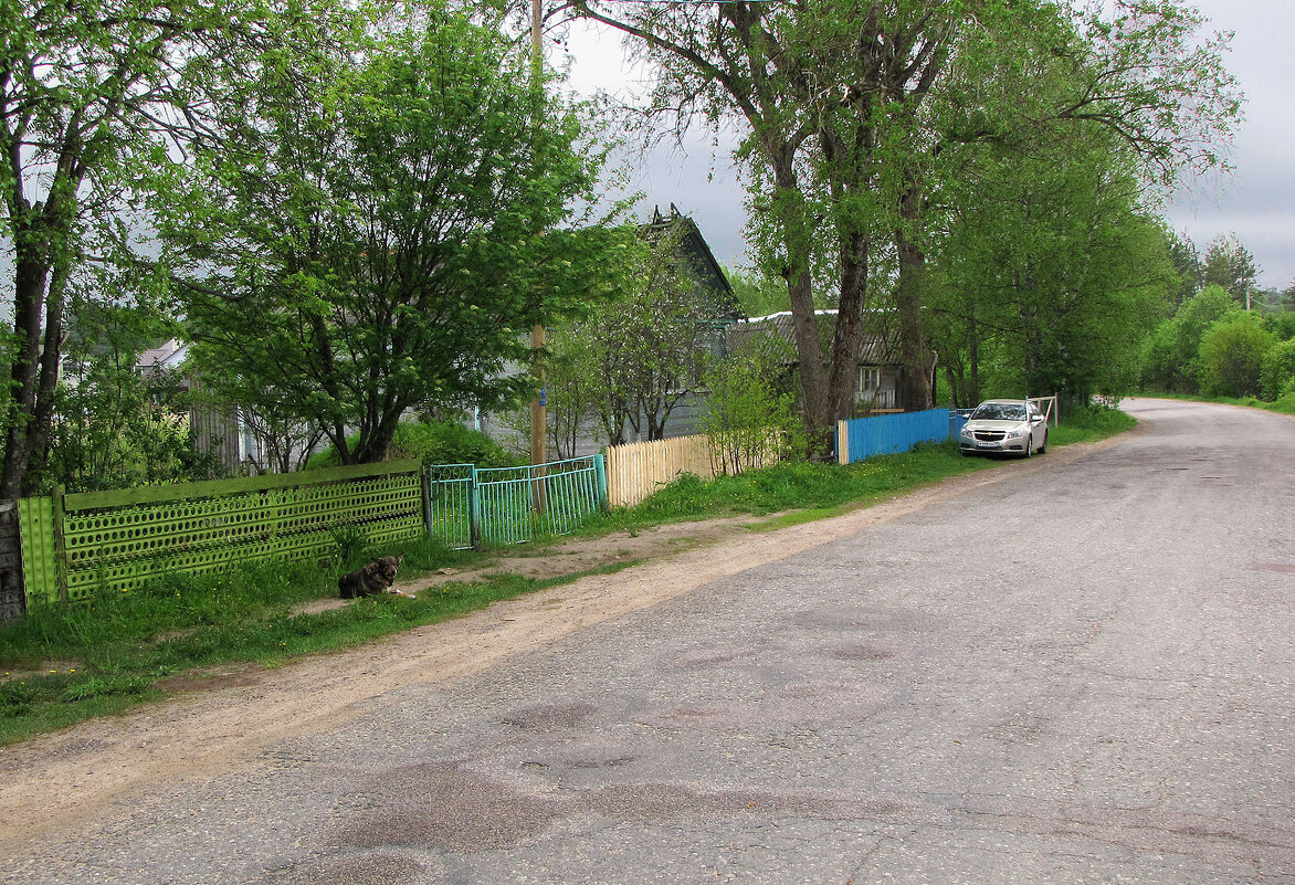 Деревня Нурмолицы - Александр Ильчевский Деревня Нурмолицы - Александр Ильчевский