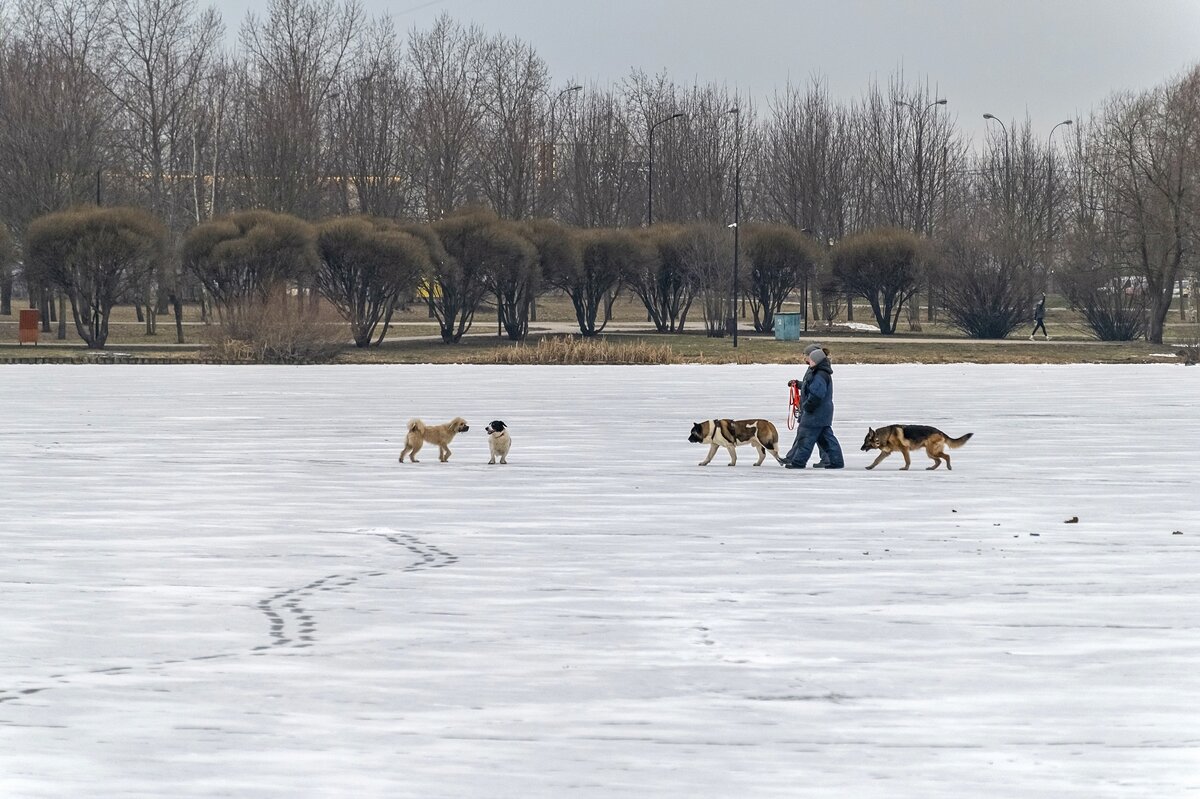 Погулять по пруду - Валерий Иванович