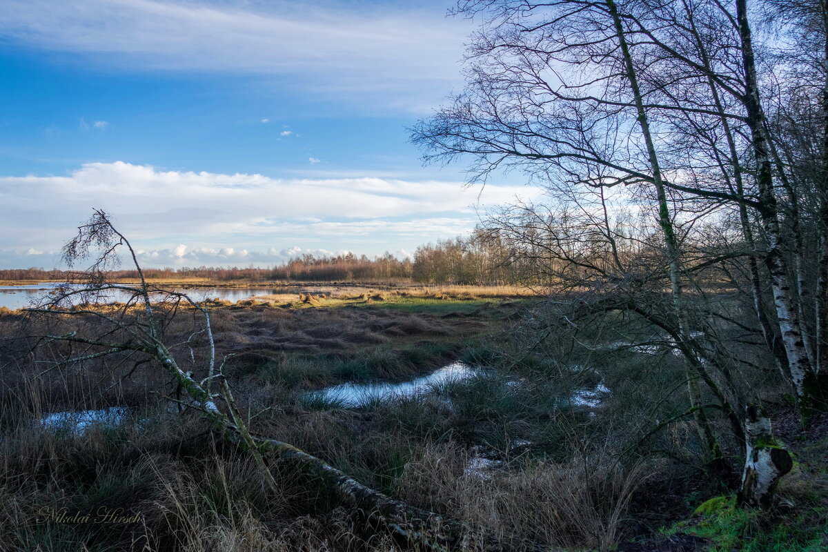 Неприветливая сторона... - Николай Гирш