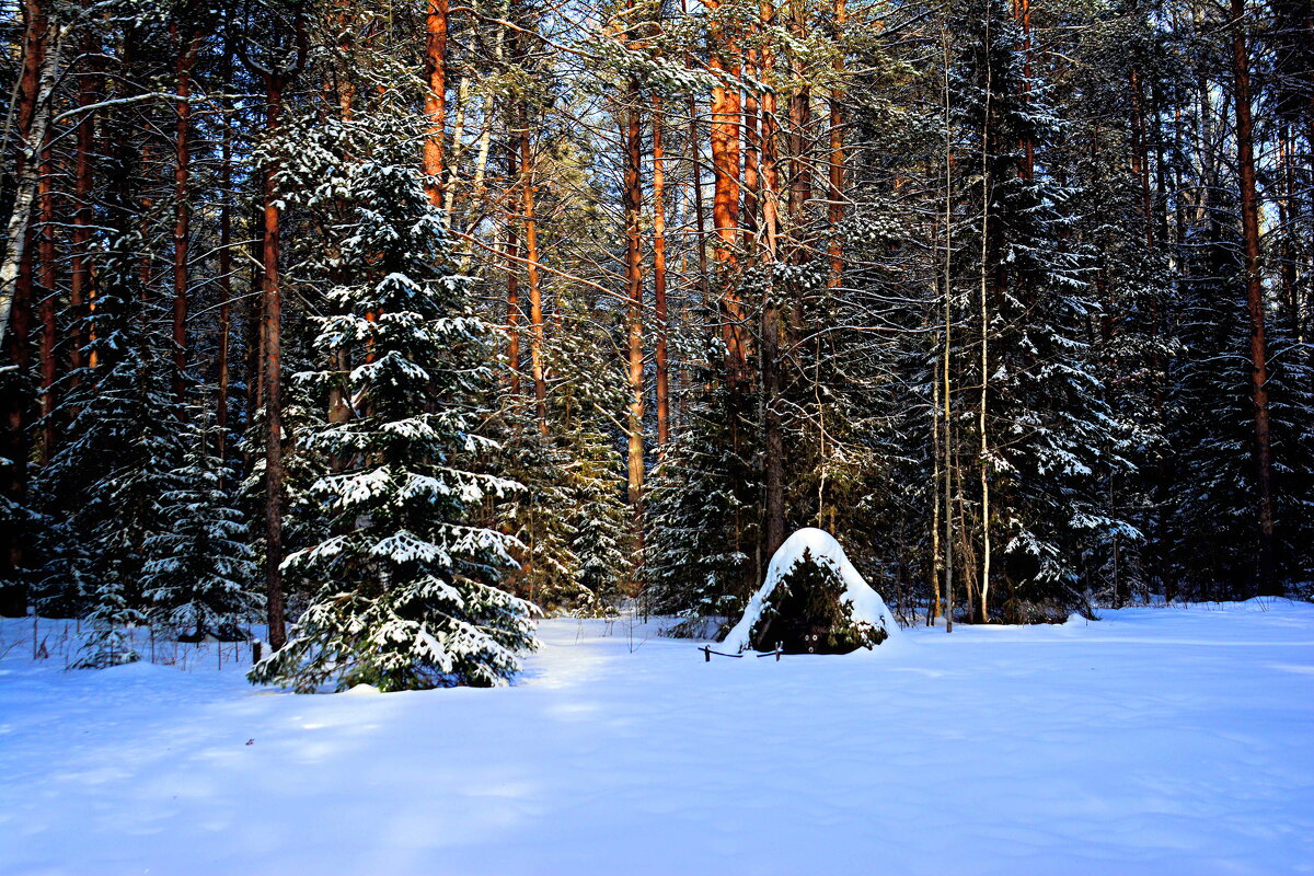 *** - Александр *** - Александр