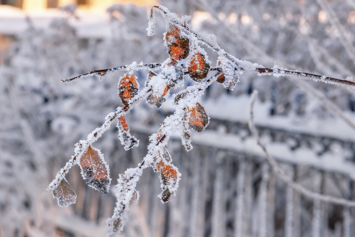 Про Питер - Владимир Колесников