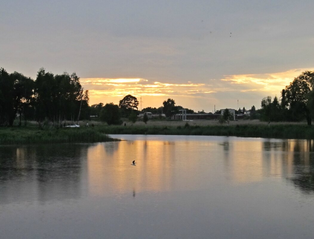 Тихий вечер - PRP Тихий вечер - PRP