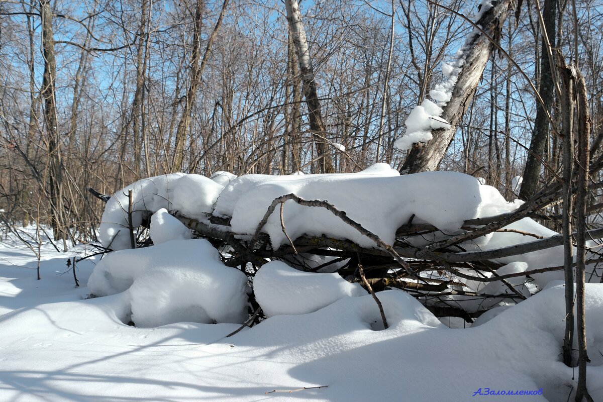 Кому там снега не хватает? Забирайте! Самовывоз, дёшево! :-) - Андрей Заломленков