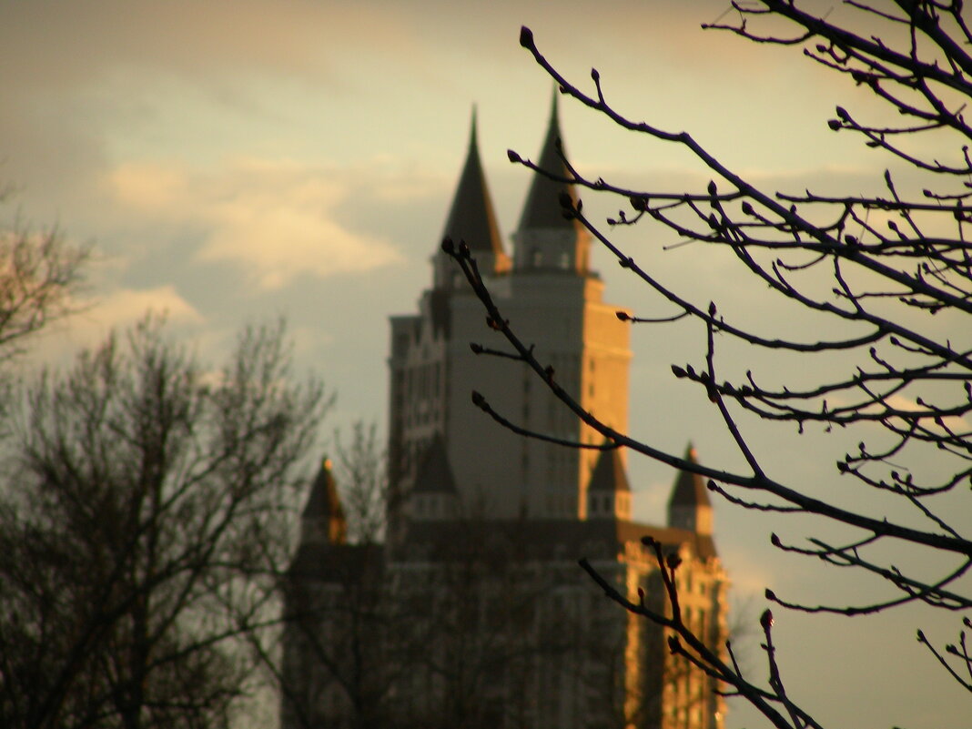 izdaleka - Анна Камс