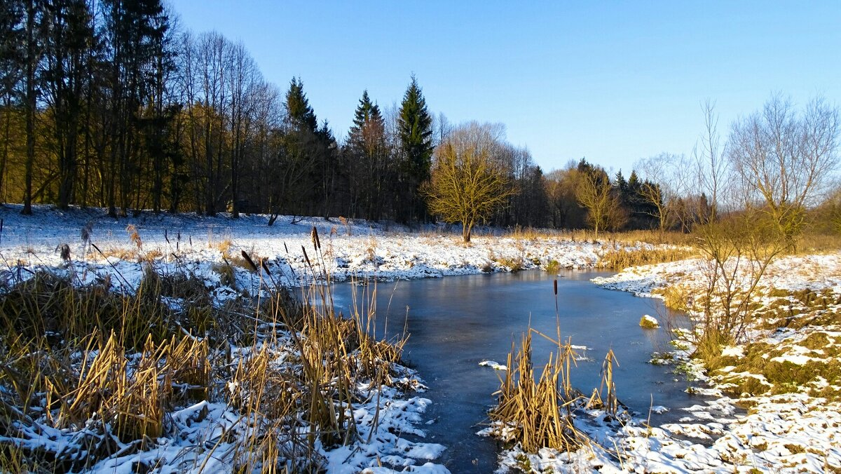 Природа Смоленщины в феврале. - Милешкин Владимир Алексеевич 