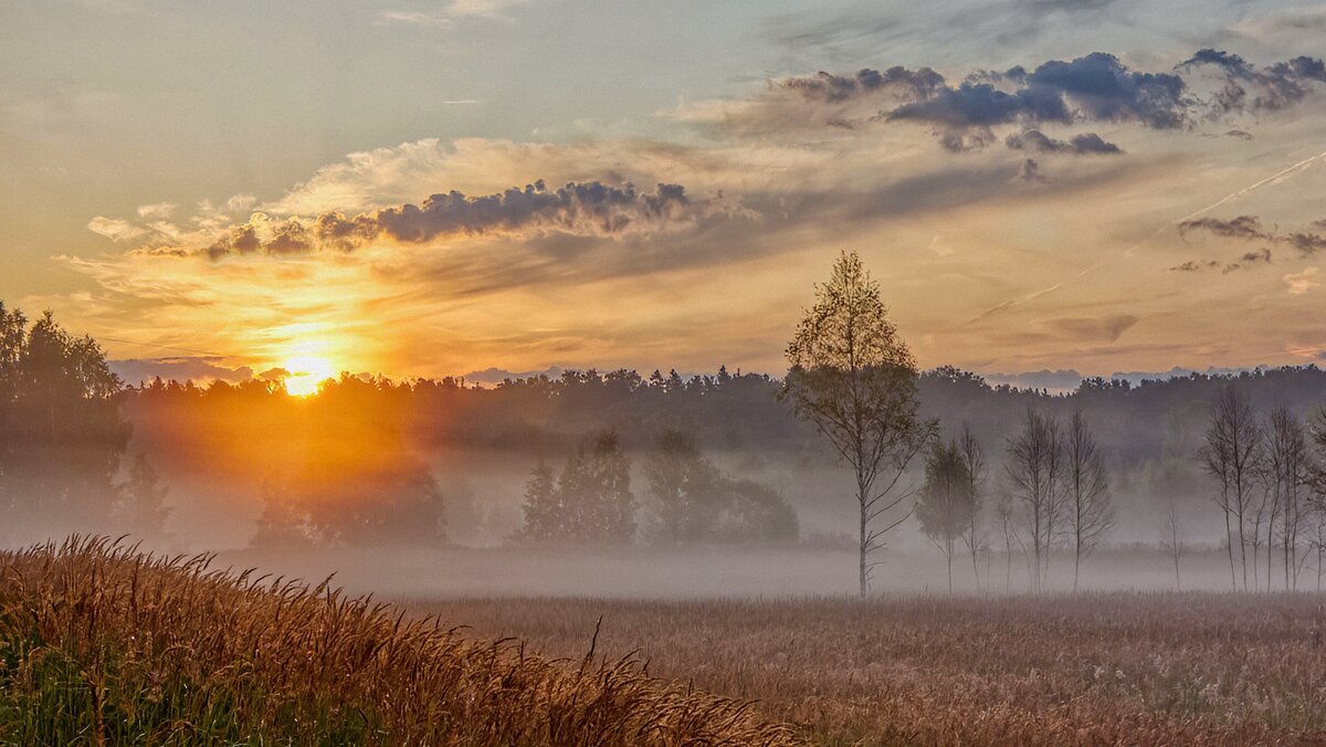 Летний восход - Юрий Спасенников