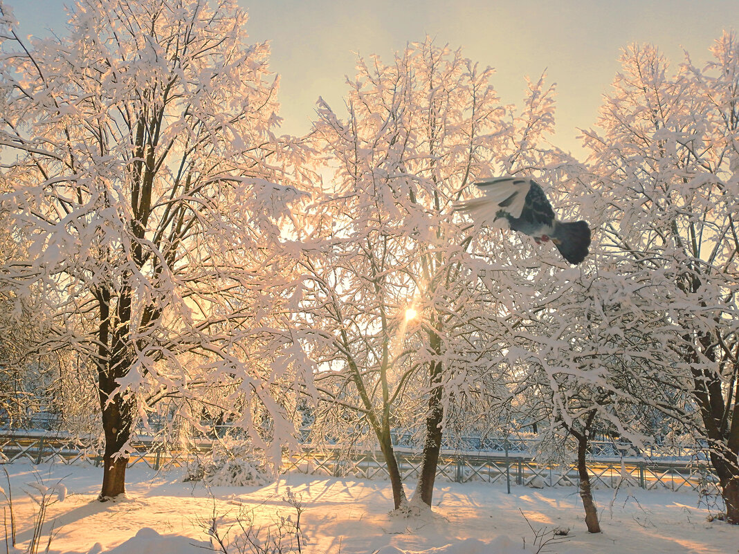 Зимний день - Сергей Кочнев