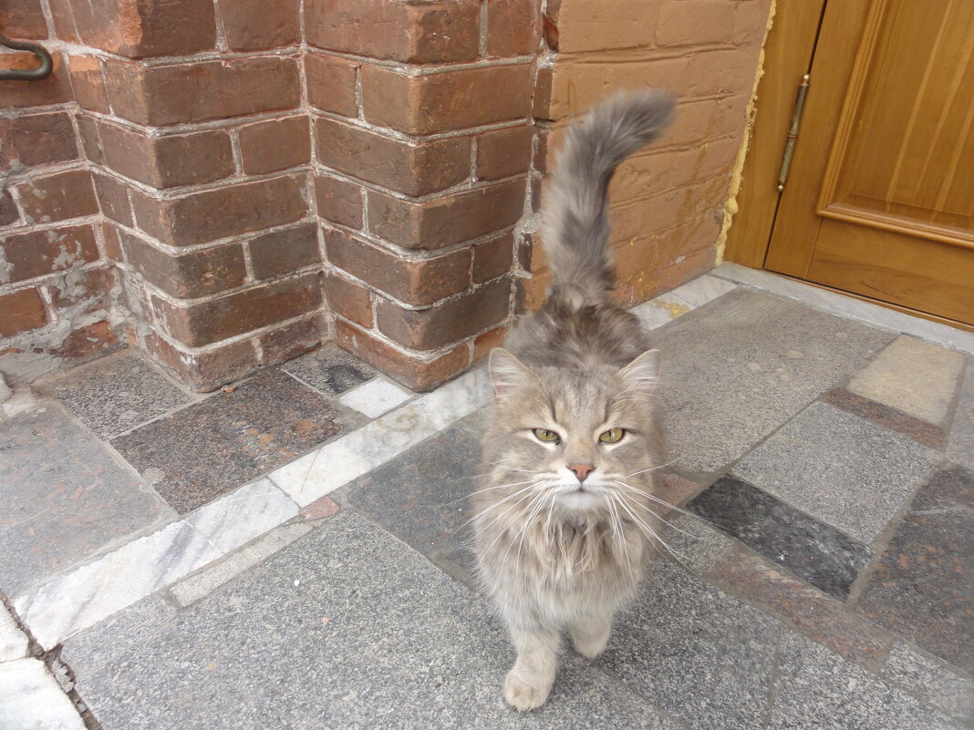 У дверей храма - марина ковшова 