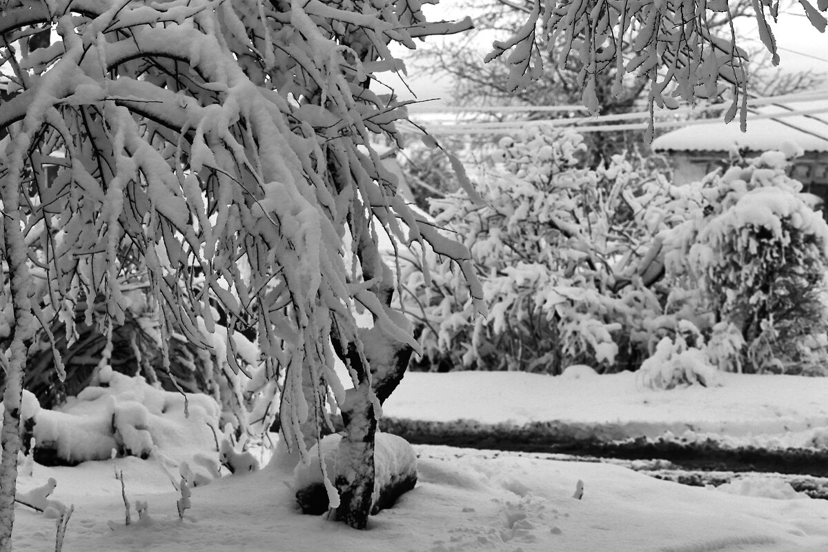 Прекрасная погода - Юрий Гайворонскiий