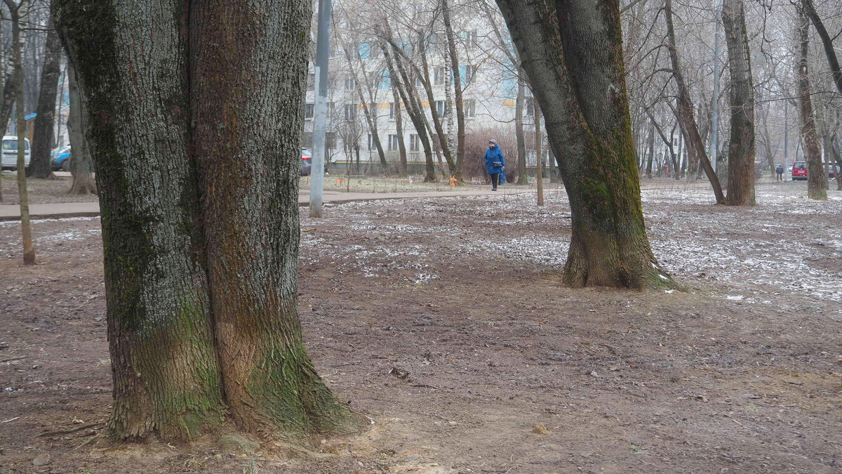 ***** - юрий поляков