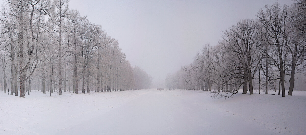 *** - Сергей Григорьев