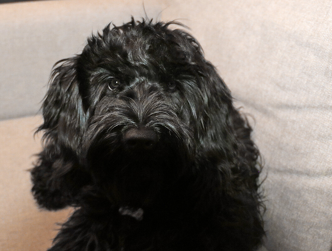 Портрет Тучки - Светлана 