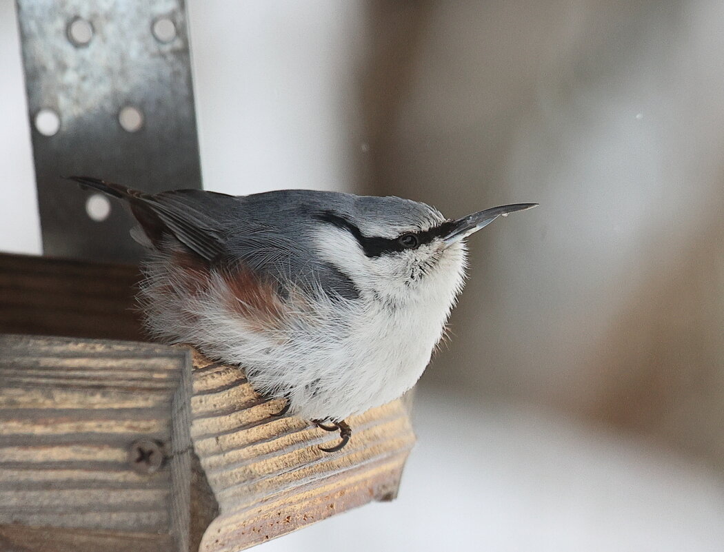 Одна маленькая но гордая... - Владилен Панченко