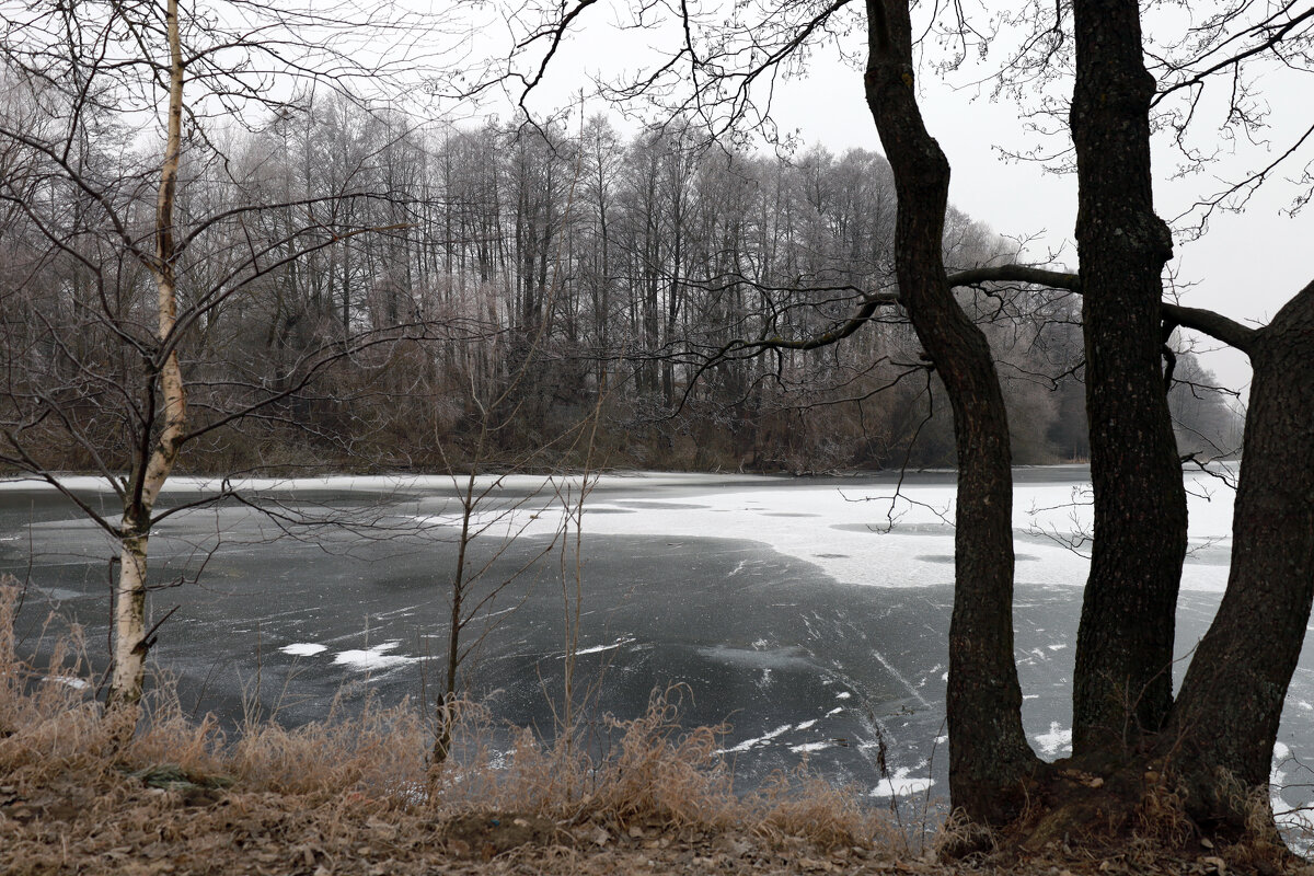 Река во льду - Dar(k) Life Река во льду - Dar(k) Life