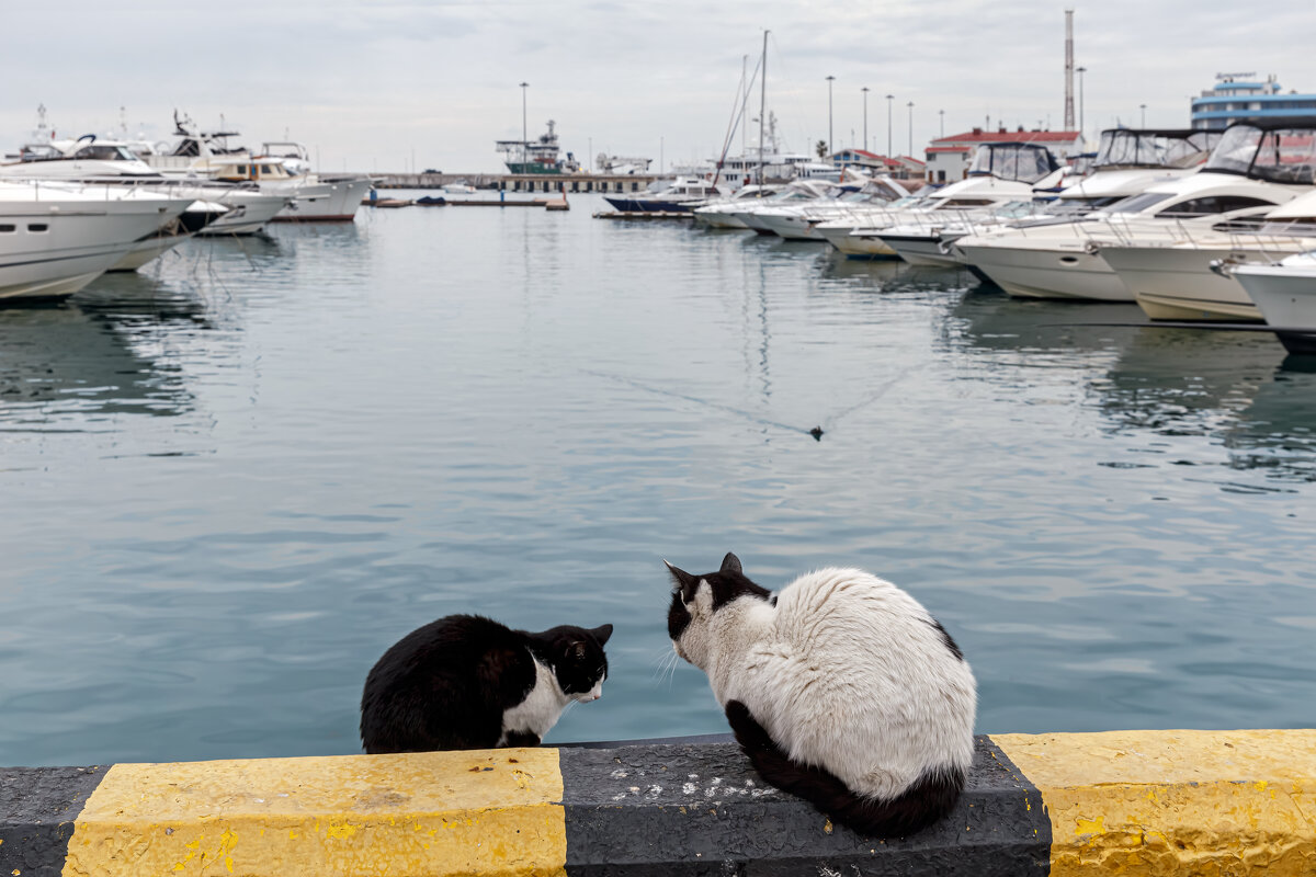 Насиженное место - Eugene * Насиженное место - Eugene *