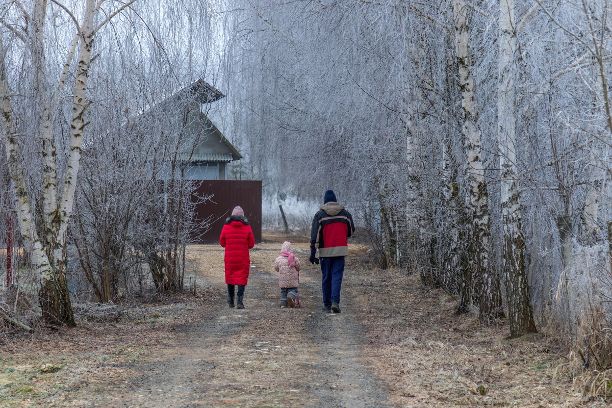 Зимние дачники. - Анатолий. Chesnavik.