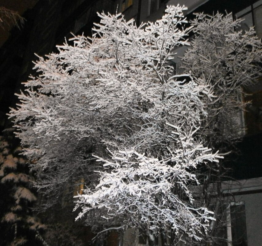 Зимой... - Алёна Савина Зимой... - Алёна Савина