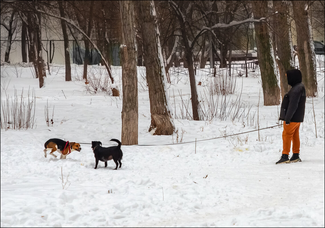 Чужой - Александр Тарноградский