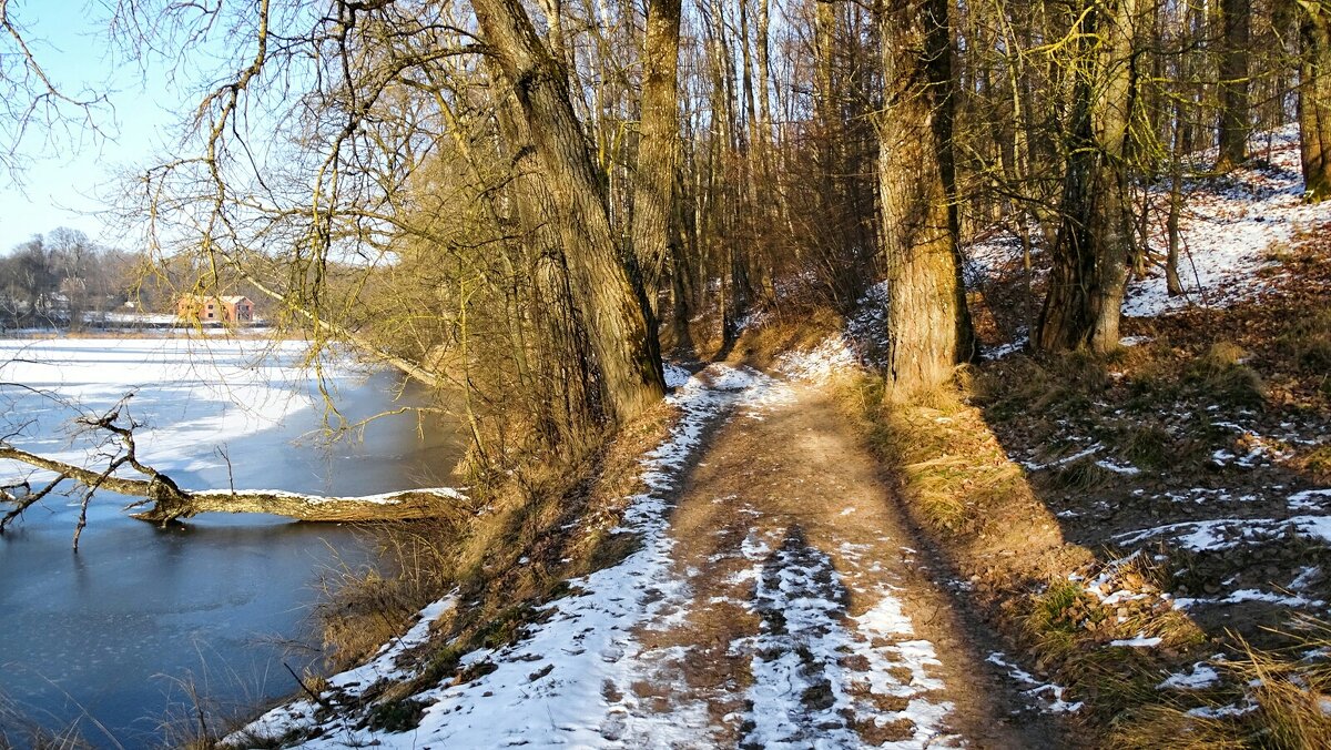 Дорога рыбаков по озёрному берегу. - Милешкин Владимир Алексеевич Дорога рыбаков по озёрному берегу. - Милешкин Владимир Алексеевич