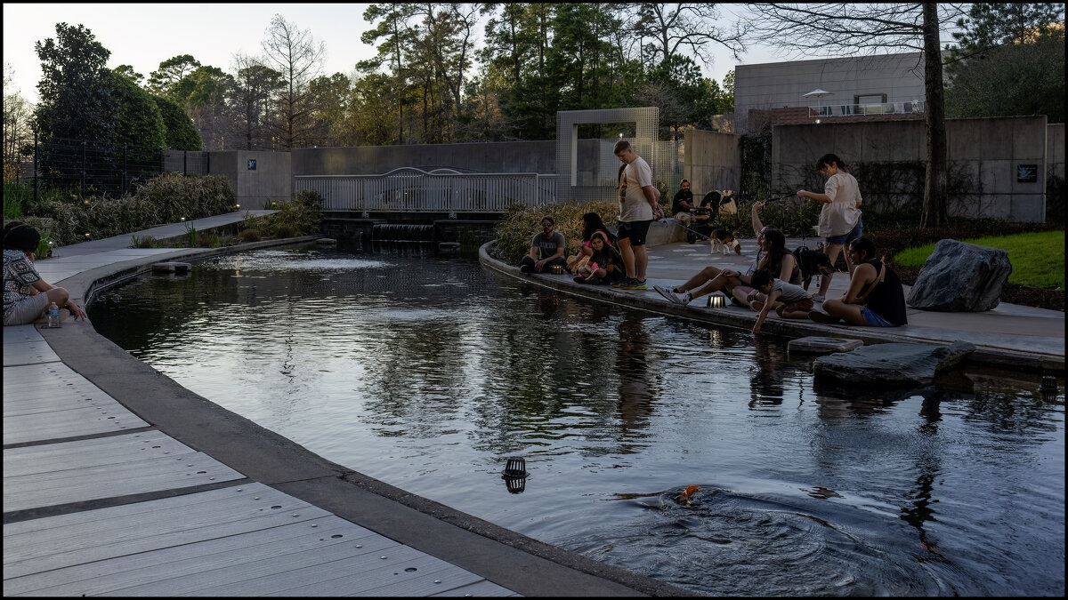 Японский пруд - **** vedin