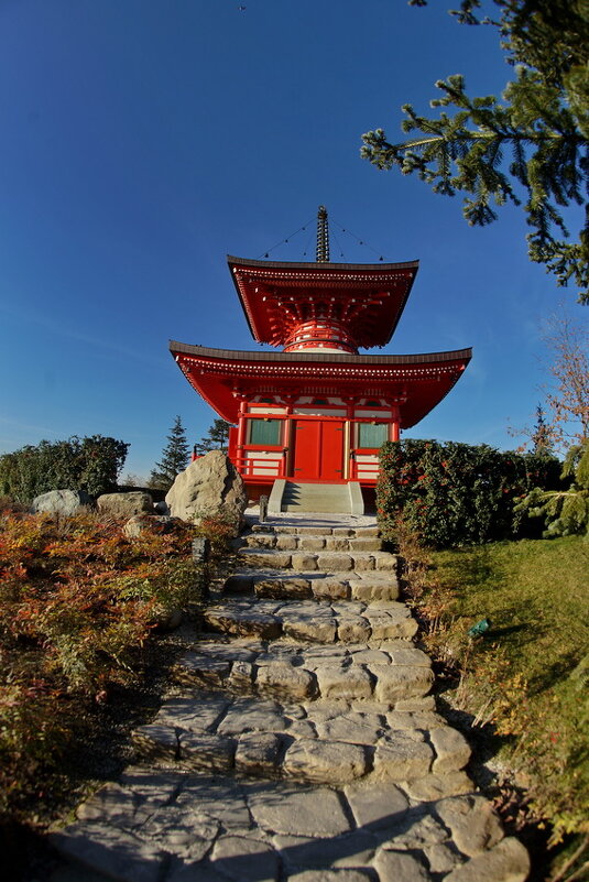 " Японский сад " парк Краснодар или Галицкого... - Николай Саржанов " Японский сад " парк Краснодар или Галицкого... - Николай Саржанов