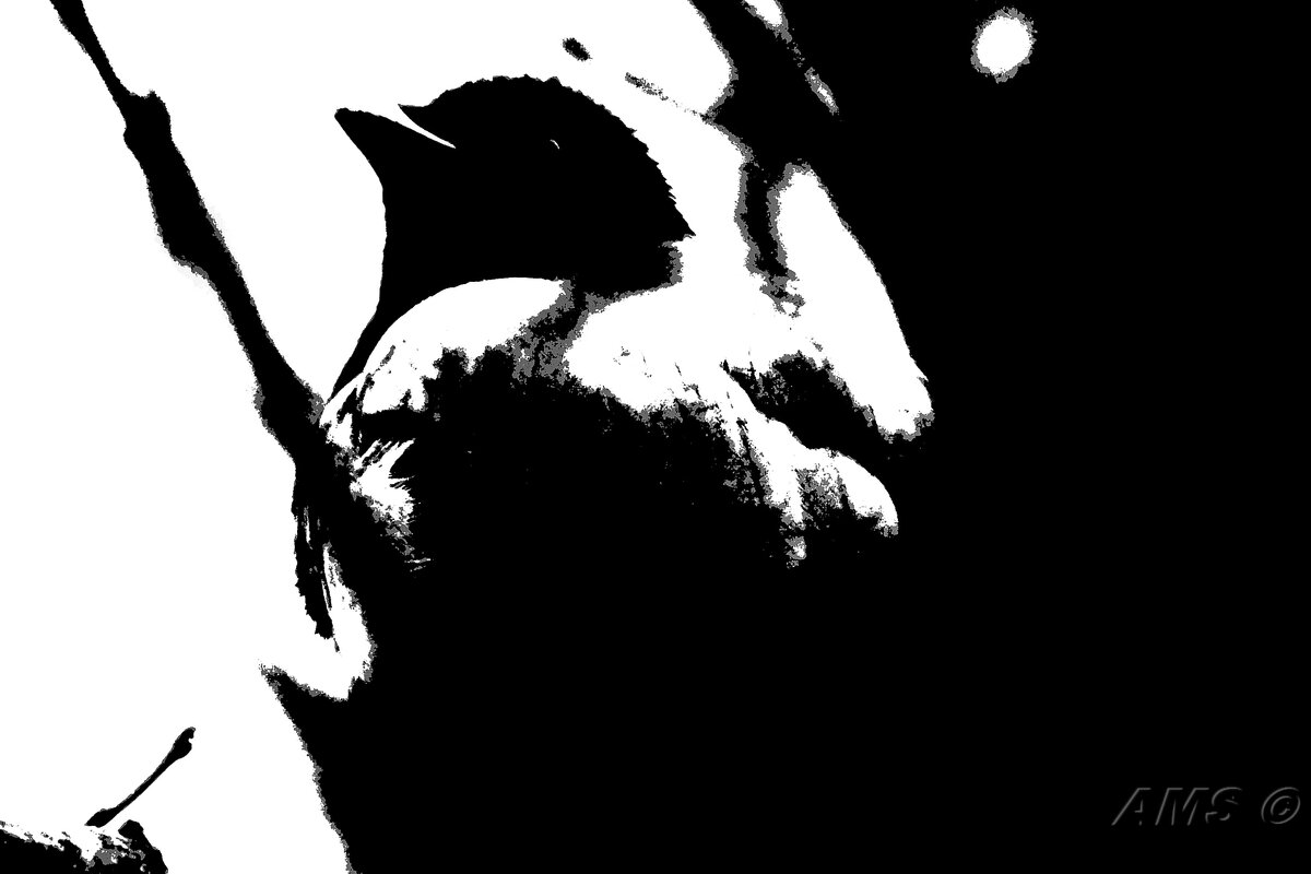 Подружка - kolyeretka Подружка - kolyeretka