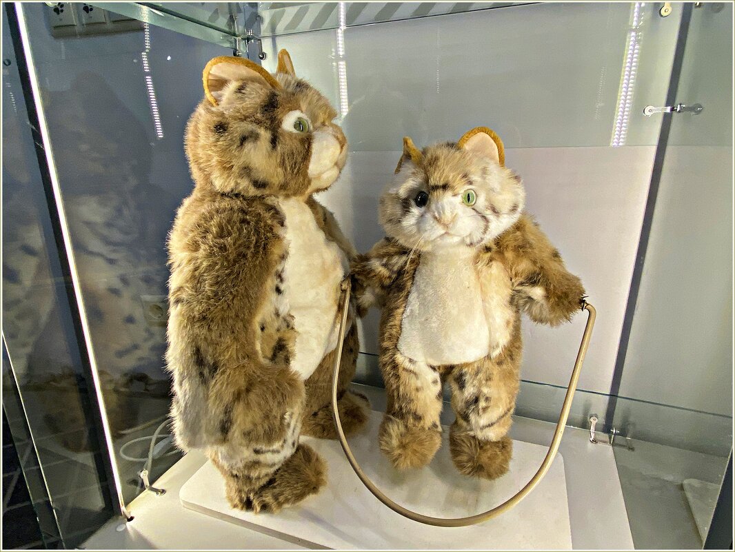 В Мурариуме. - Валерия Комова В Мурариуме. - Валерия Комова