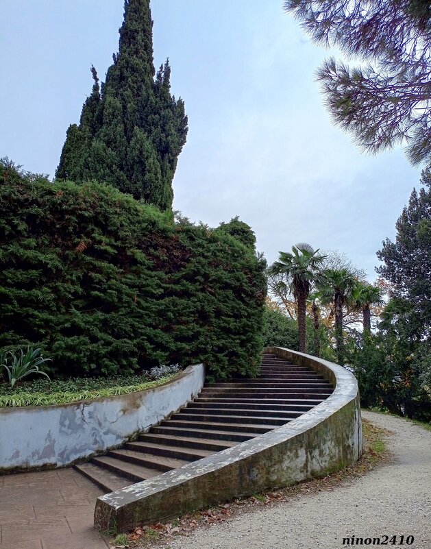 Адлер. Дендропарк "Южные культуры" - Нина Бутко Адлер. Дендропарк "Южные культуры" - Нина Бутко