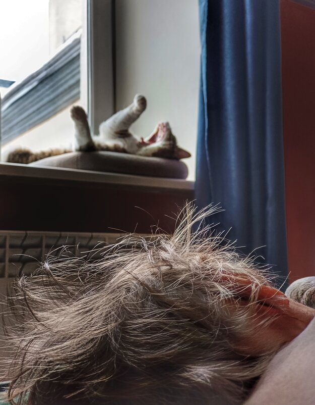 Утро доброе!) - ВЛАДИМИР 