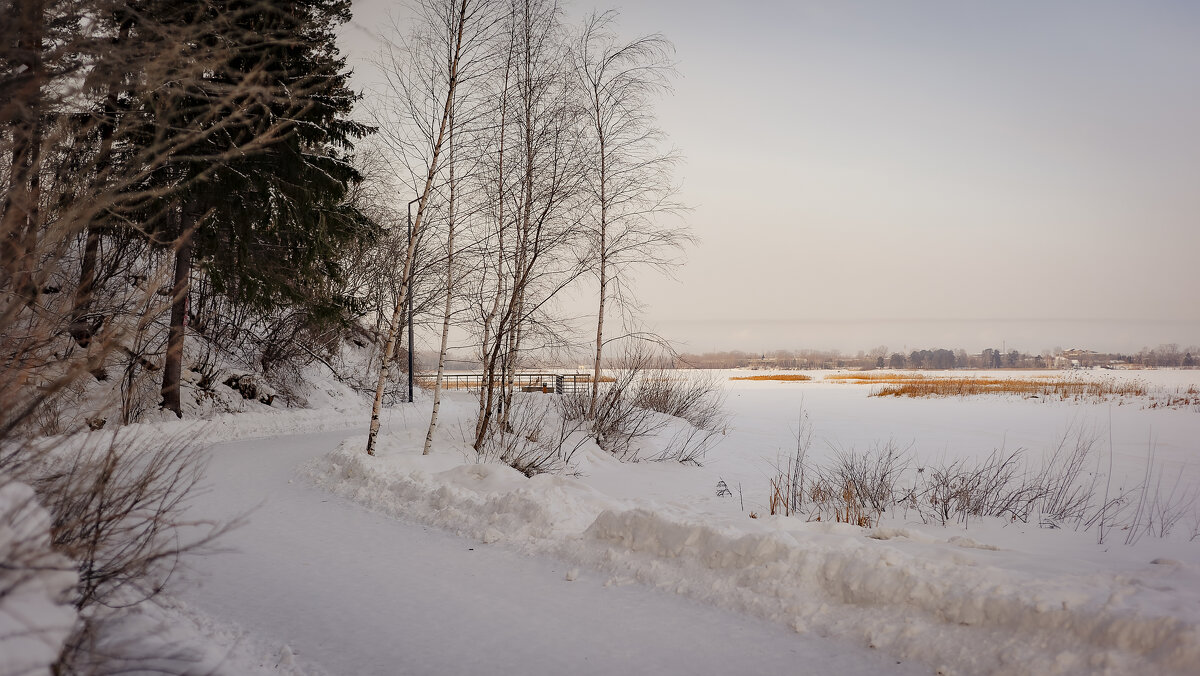 Морозное февральское утро. - Вадим Басов