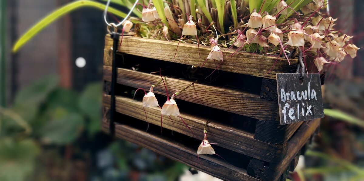 Лови! сбегают!!!!!!!! - ИРЭН@ .