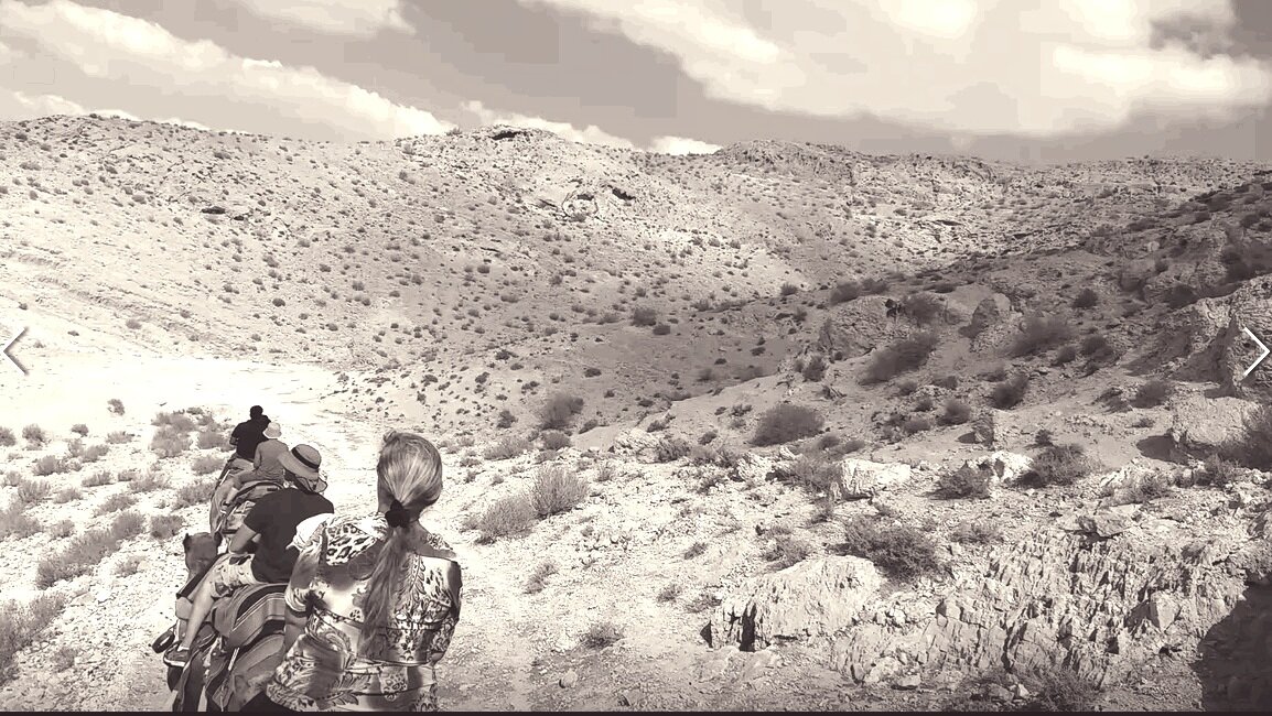 109 (72) - СТРЕН 