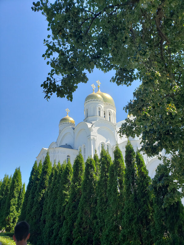 Дивеево - Дмитрий Swan Дивеево - Дмитрий Swan