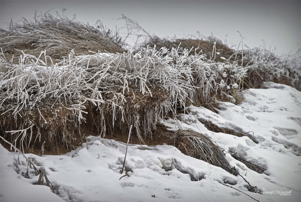 "Изморозь на, не укрытой снегом, траве"© - Владимир Макаров "Изморозь на, не укрытой снегом, траве"© - Владимир Макаров