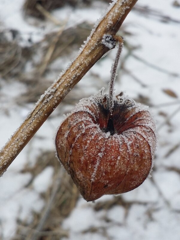 ... - Наталия Кольцова