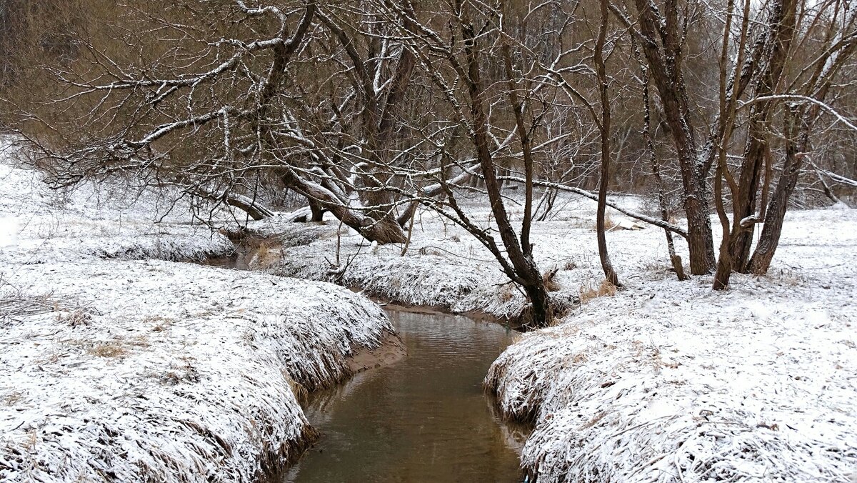 Зимний парк. - Милешкин Владимир Алексеевич 
