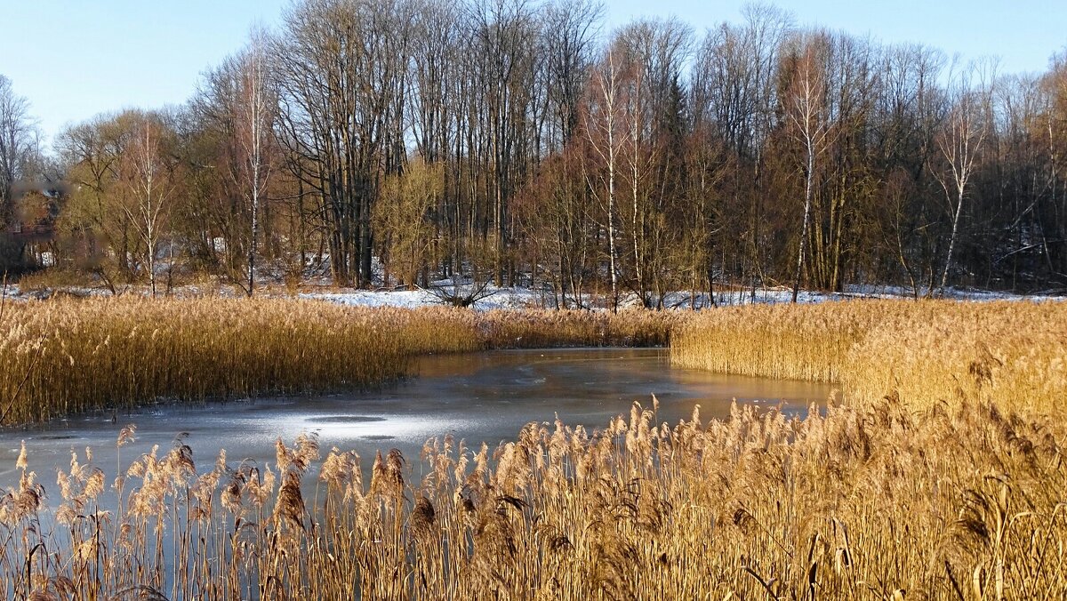 Смоленщина в феврале (репортаж из поездок по области). - Милешкин Владимир Алексеевич Смоленщина в феврале (репортаж из поездок по области). - Милешкин Владимир Алексеевич