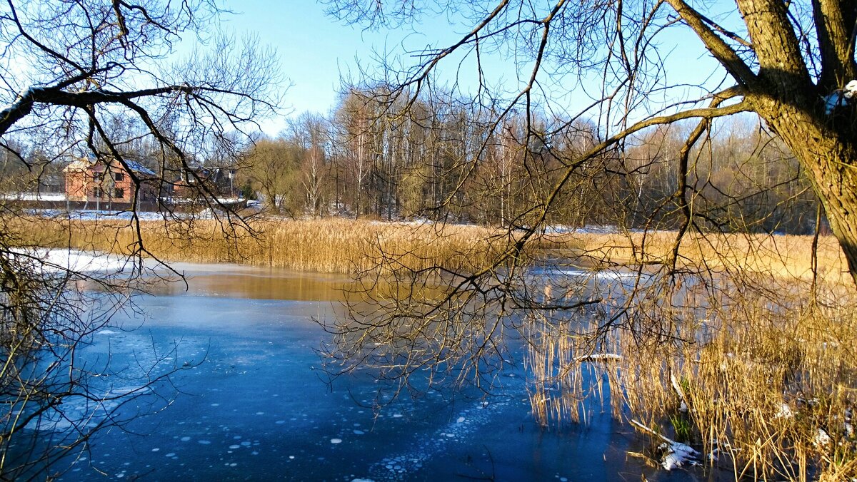 Озёра Смоленщины. - Милешкин Владимир Алексеевич Озёра Смоленщины. - Милешкин Владимир Алексеевич