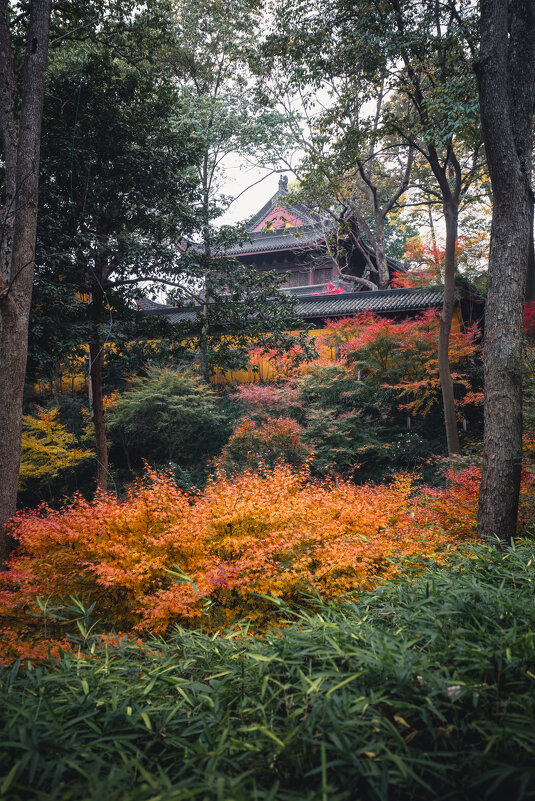 Осенние краски - Дмитрий 