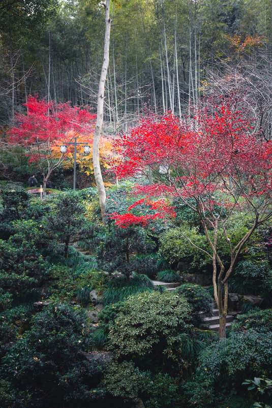 Осенние краски - Дмитрий 