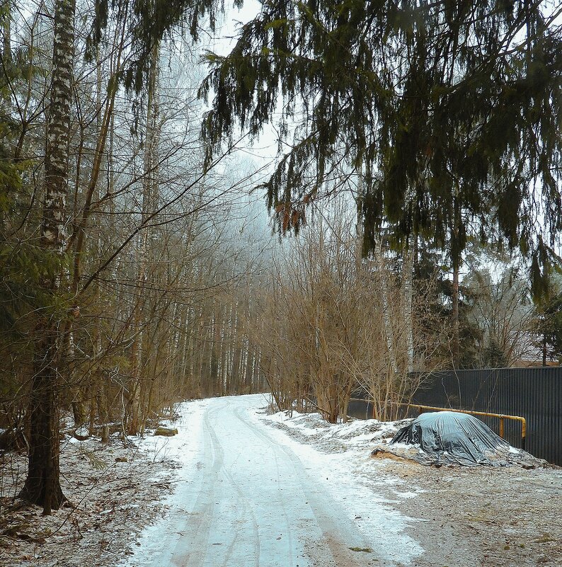 Дорога к лесу - Леонид leo