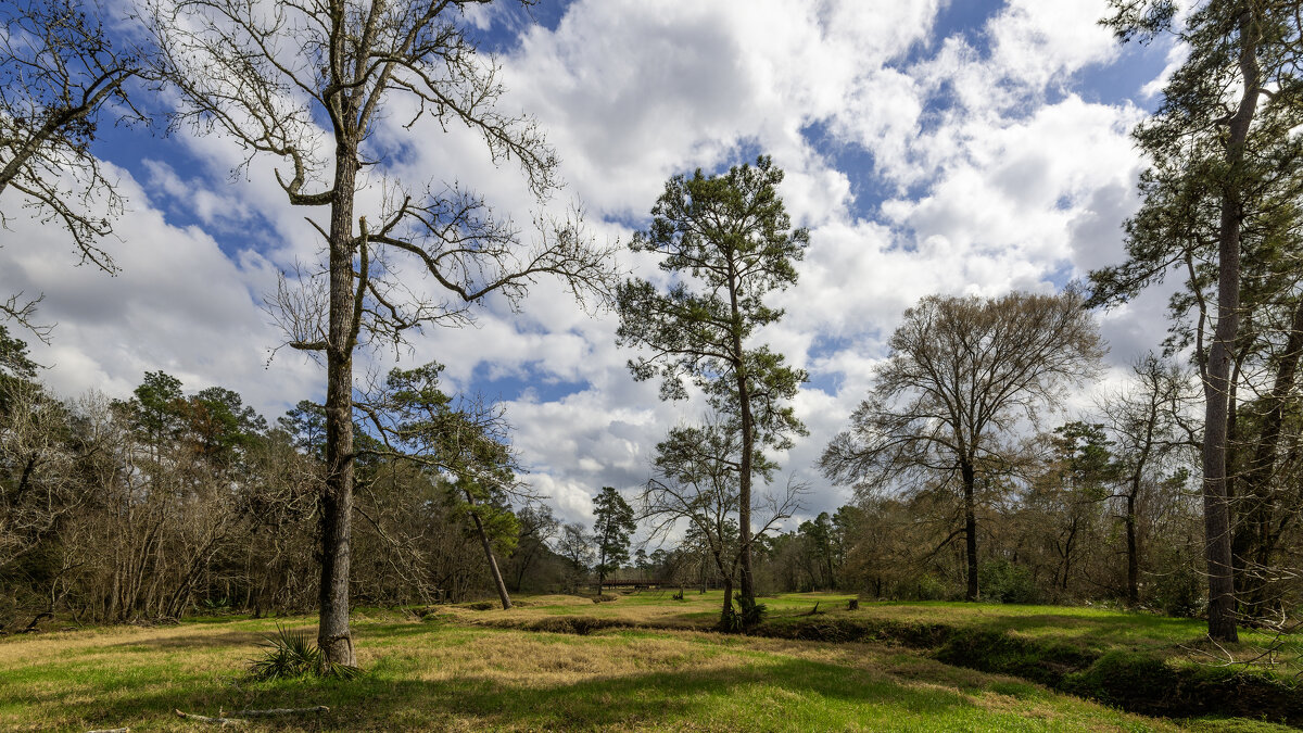 Техасский пейзаж - **** vedin